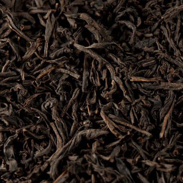 Black Tea Extract