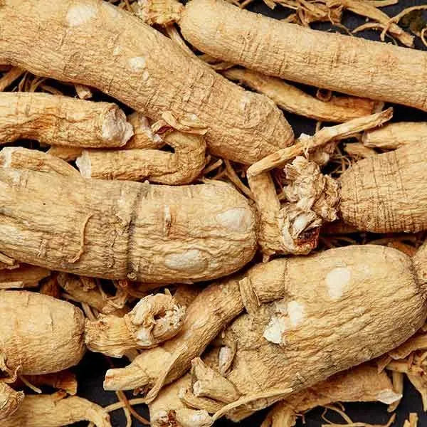 Red Ginseng Extract