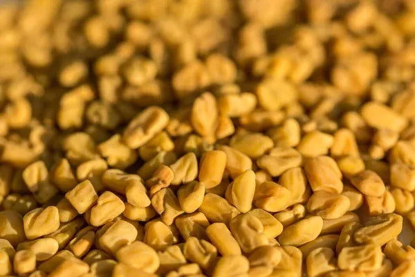 Fenugreek